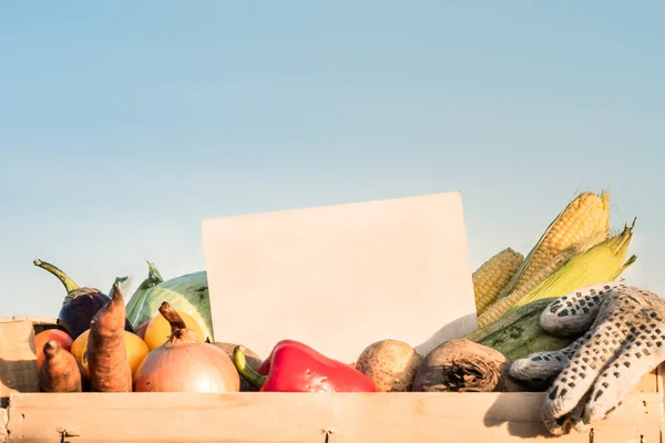 Packaging box full of natural organic vegetables. Empty sign on pile of  fresh vegetables in farming field.