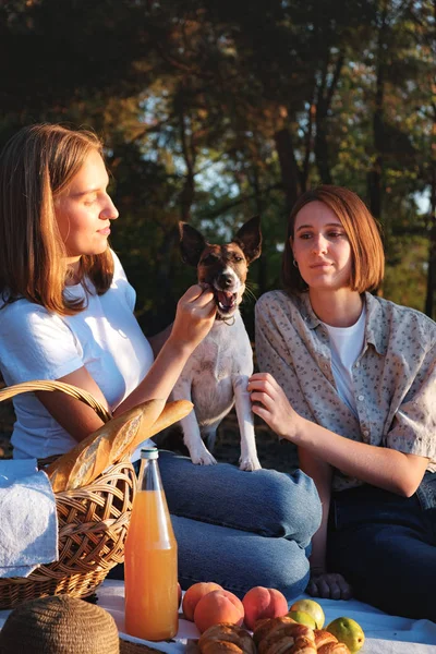 Dos Mujeres Jóvenes Perro Haciendo Picnic Aire Libre Mujeres Comunicándose — Foto de Stock