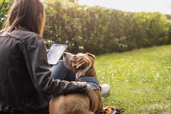 Young Pretty Woman Tablet Computer Sits Lawn Her Cute Puppy — Stock Photo, Image