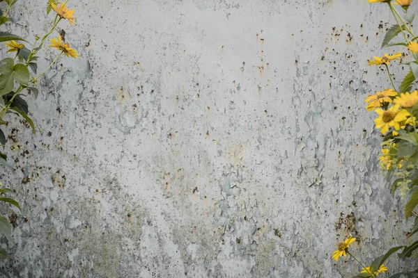 Distressed Grunge Background Wild Flowers Sides Logam Tua Dengan Tekstur — Stok Foto