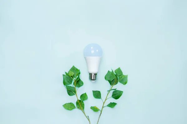 Energy efficience, ecological technologies, green electricity concept. Led lightbulb between brances with tender green leaves symbolizing environmental awareness and saving electricity to preserve nature