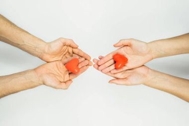 Kadın ve erkek elleri, avuç içlerindeki kalp figürlerini kopyalama alanı olan beyaz arka planda tutuyor..