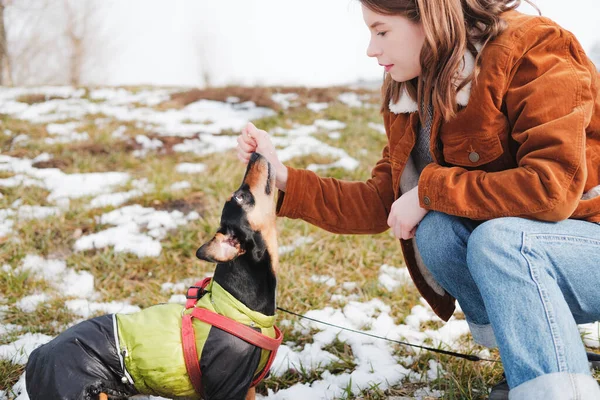 Pessoa Feminina Dachshund Passar Tempo Com Cão Livre — Fotografia de Stock