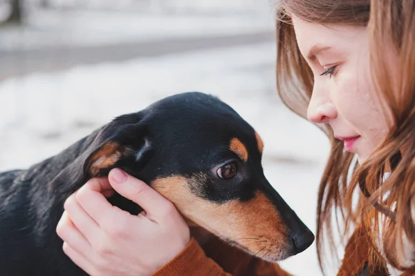 Perros Cariñosos Adorables Mujer Con Cachorro Joven Hembra Salchicha Unión — Foto de Stock