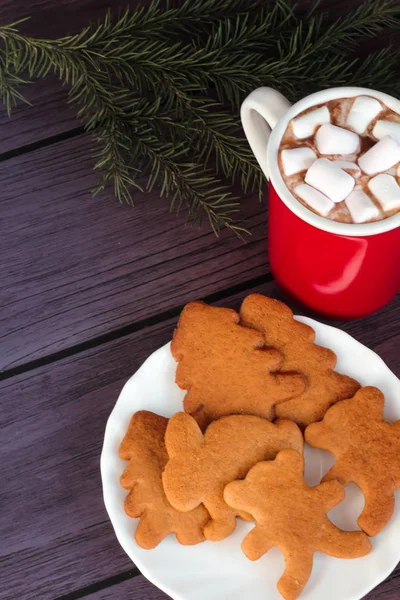 Noel gingerbread çerezleri, sıcak çikolata