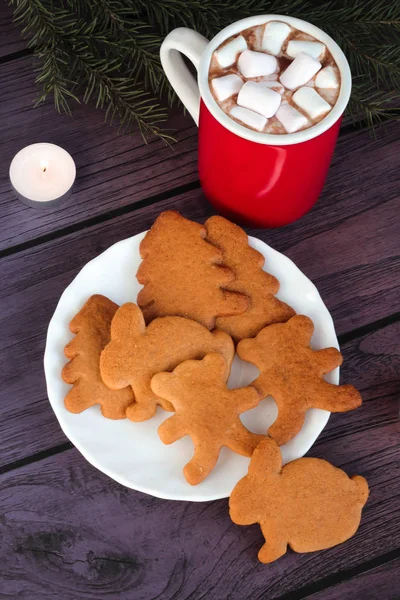 Christmas gingerbread cookies, hot chocolate — Stock Photo, Image