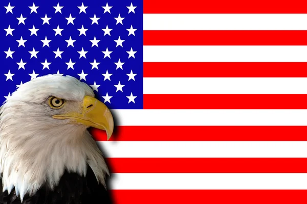 アメリカの国旗 — ストック写真