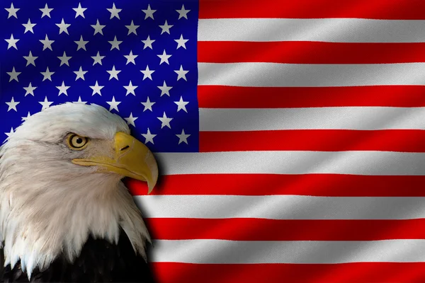 Bandera de USA — Foto de Stock