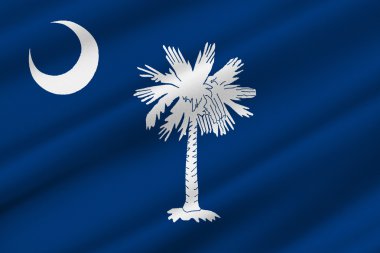 Güney carolina, ABD bayrağı