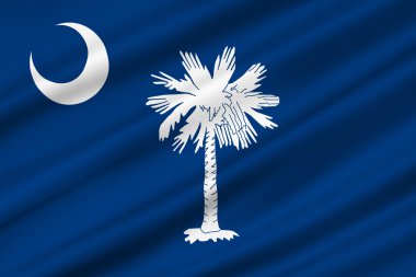Güney carolina, ABD bayrağı
