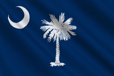 Güney carolina, ABD bayrağı