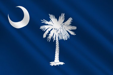 Güney carolina, ABD bayrağı