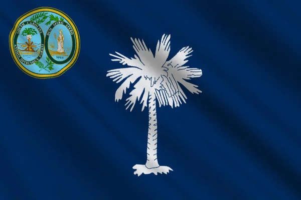 Flagga i south carolina, usa — Stockfoto