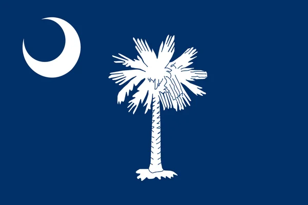 Vlag van Zuid-carolina, Verenigde Staten — Stockfoto