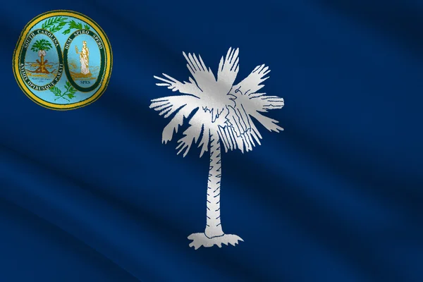 Flagga i south carolina, usa — Stockfoto