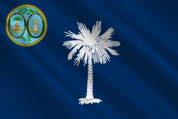 Флаг Южной Каролины, США — стоковое фото