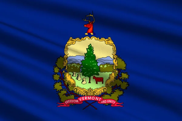 Flagget til Vermont, USA – stockfoto
