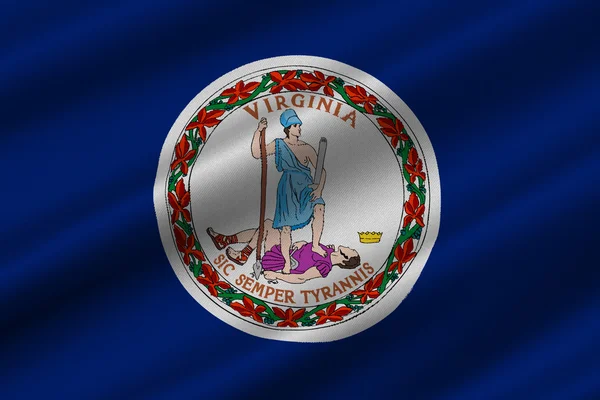 Virginia, ABD bayrağı — Stok fotoğraf