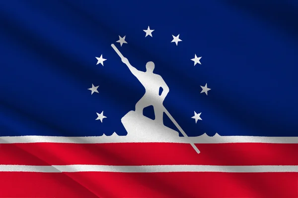 Flagge von reiche in virginia, usa — Stockfoto