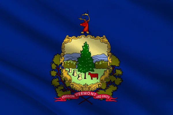 Drapeau du Vermont, États-Unis — Photo