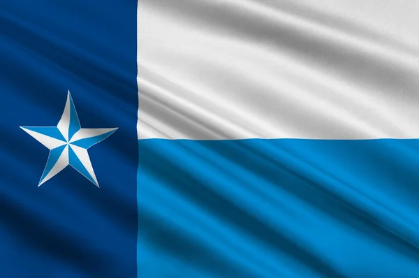 Vlag van Dallas County, Texas in de VS — Stockfoto