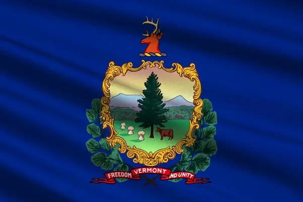 Drapeau du Vermont, États-Unis — Photo