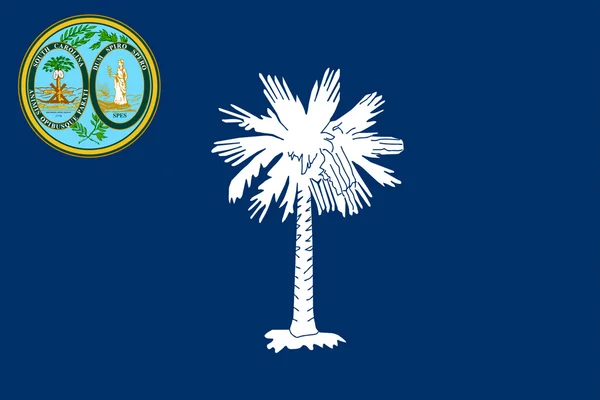 Флаг Южной Каролины, США — стоковое фото