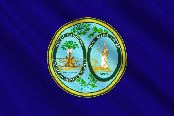 Bandeira de South Carolina, USA — Fotografia de Stock