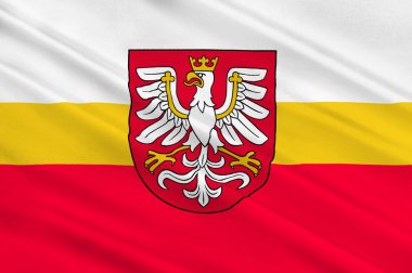 Daha az Polonya Voyvodalığı Güney Polonya bayrağı