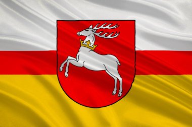 Lublin Güneydoğu Polonya bayrağı