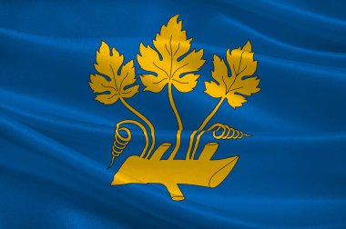 Belediyesi Norveç'in Stavanger bayraktır