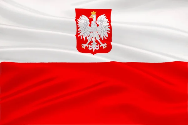 Прапор Польщі — стокове фото