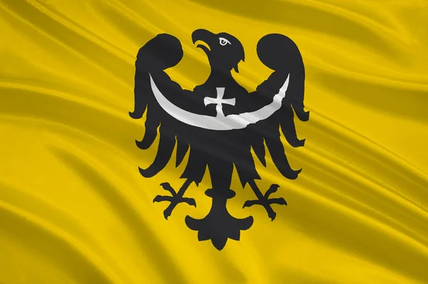 Bandeira da Voivodia da Baixa Silésia na Polónia — Fotografia de Stock