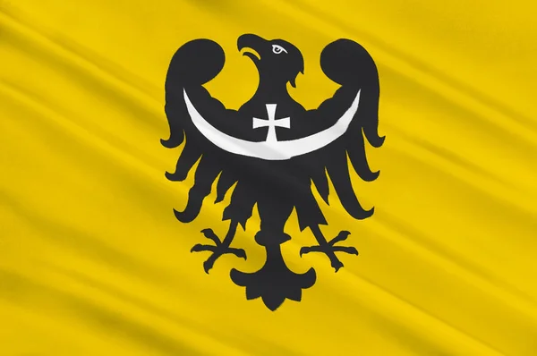 Bandiera del Voivodato della Bassa Slesia in Polonia — Foto Stock