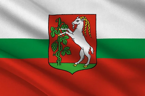 Lublin şehir Güneydoğu Polonya bayrağı — Stok fotoğraf
