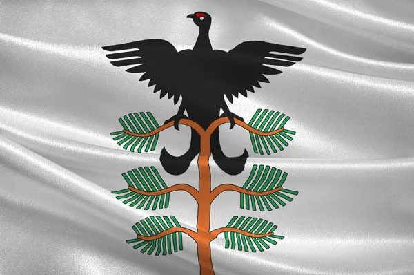 Флаг Хамара - город и муниципалитет в округе Хедмарк, Норв — стоковое фото