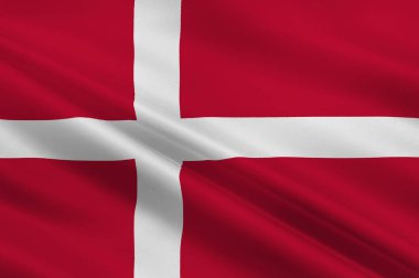 Danimarka bayrağı