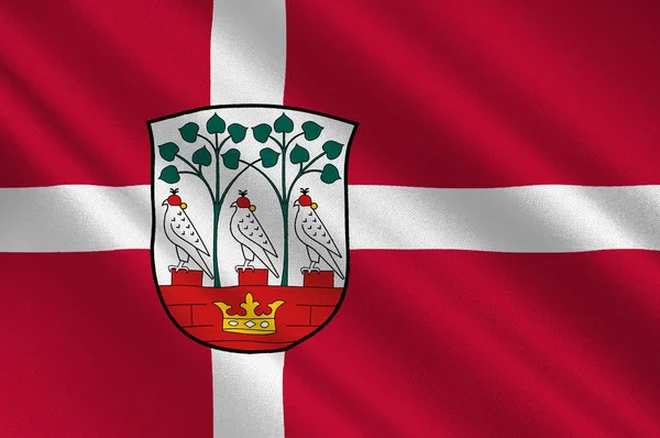 Flag of Frederiksberg is a municipality in Denmark — Stock Photo, Image