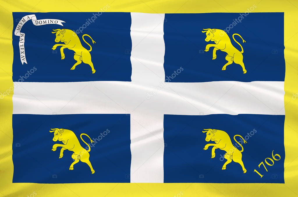 Flag of Piedmont, Italy