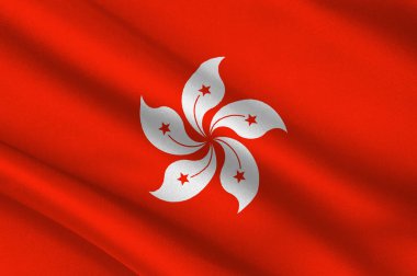 Hong Kong bayrağı
