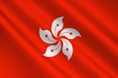 Hong Kong bayrağı