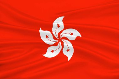 Hong Kong bayrağı
