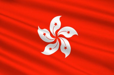 Hong Kong bayrağı