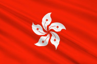 Hong Kong bayrağı