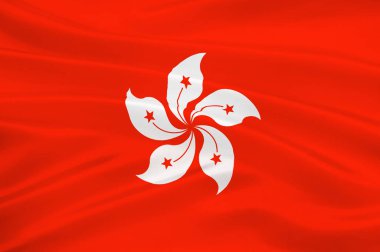 Hong Kong bayrağı