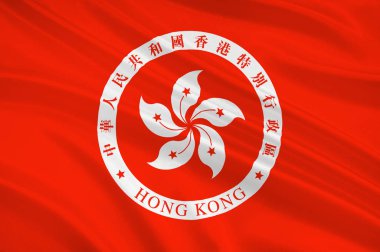Hong Kong bayrağı