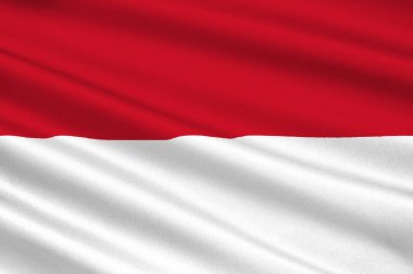 Papua ve Batı Papua Irian Jaya (Endonezya) - bayrağı