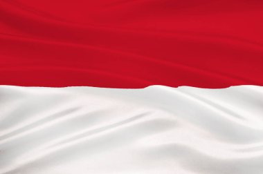 Papua ve Batı Papua Irian Jaya (Endonezya) - bayrağı