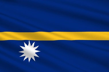 Nauru, Mikronezya bayrağı