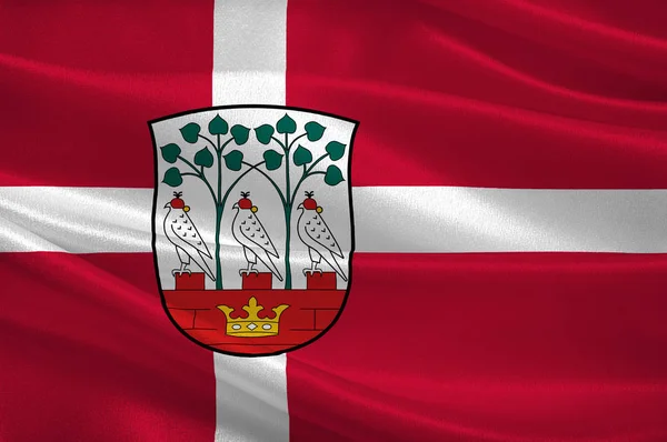 Die Fahne von Frederiksberg ist eine Gemeinde in Dänemark — Stockfoto